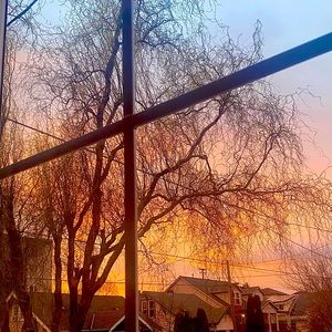 Meet your Posher, Mozzberry